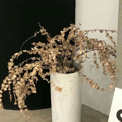 Furry插画元素设计兽圈群